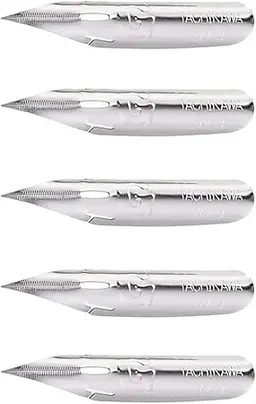 Tachikawa G Nib (Super Polish)