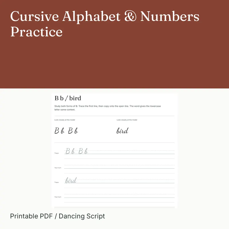 Cursive Alphabet & Numbers Practice
