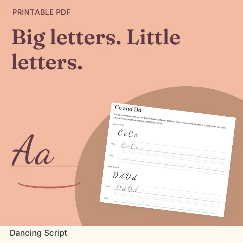Capital-Lowercase Pairing Workbook, Dancing Script: illustrated preview with actual page excerpt