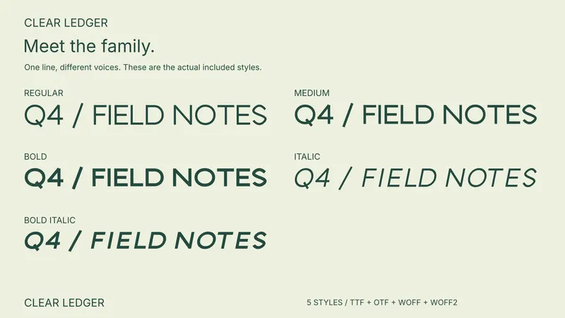 Clear Ledger style comparison: Regular, Medium, Bold, Italic, Bold Italic