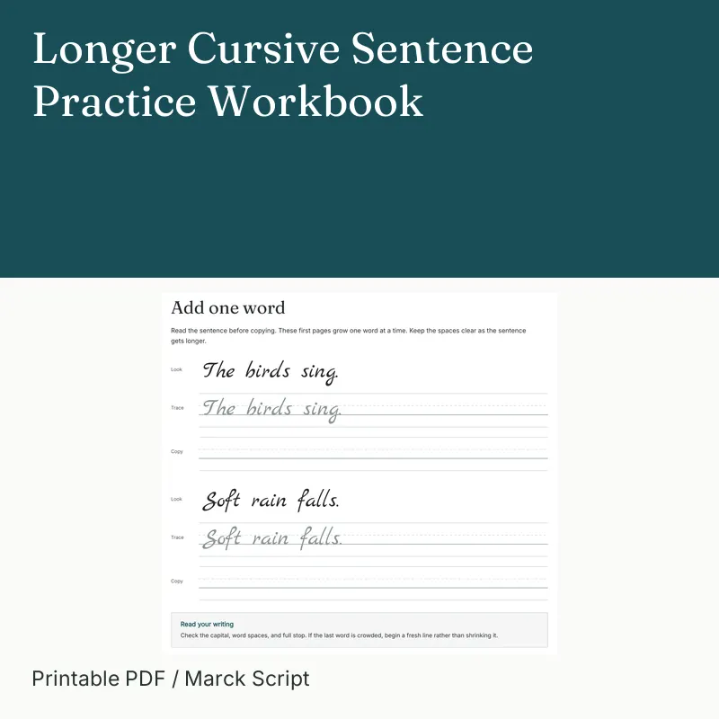 Longer Cursive Sentence Practice Workbook
