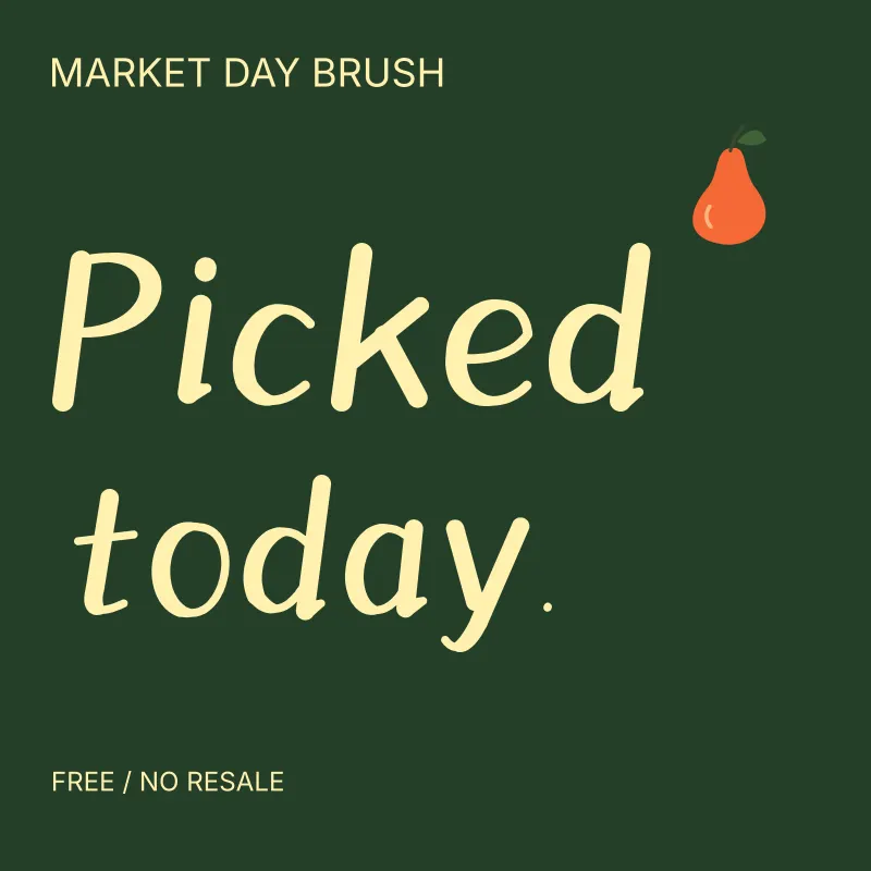 Market Day Brush: free font preview