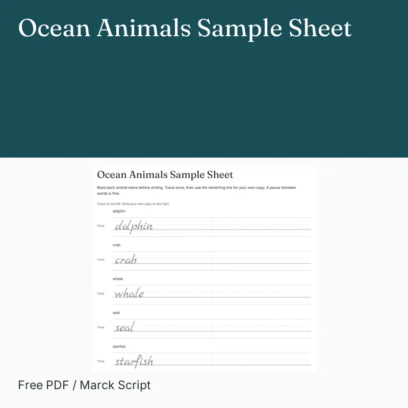 Ocean Animals Sample Sheet