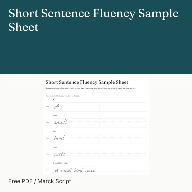 Short Sentence Fluency Sample Sheet