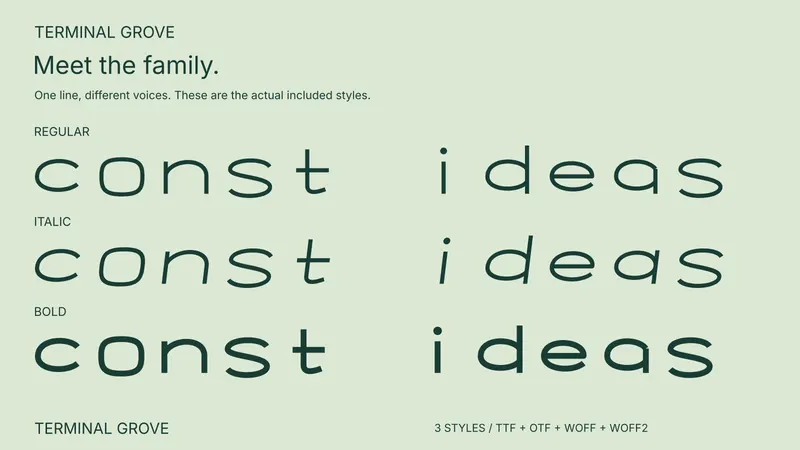 Terminal Grove style comparison: Regular, Italic, Bold